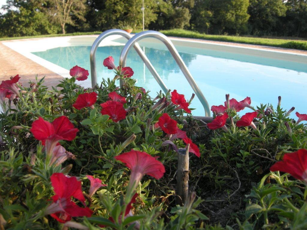 Podere Poggio Lupinaio San Martino sul Fiora Habitación foto